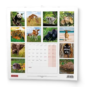 Wandkalender - Tierchen